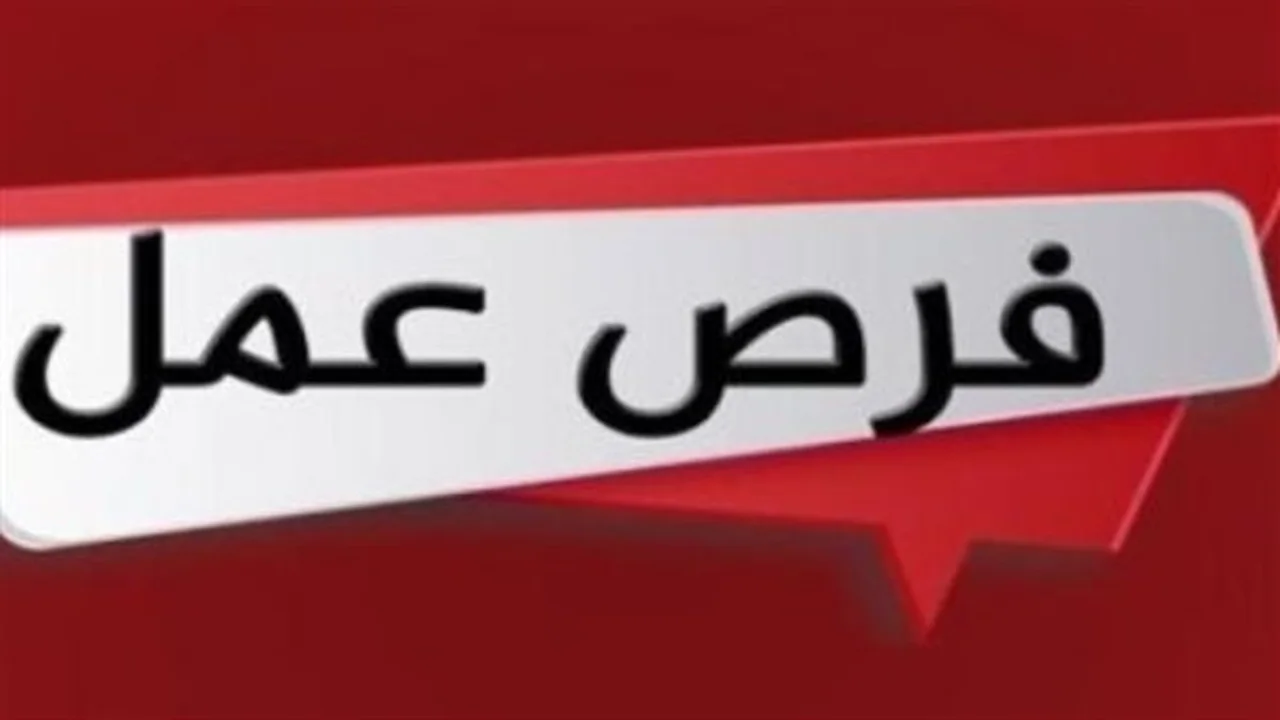 شروط جديدة.. وظائف شركة جنوب القاهرة لتوزيع الكهرباء تبحث عن متقدمين